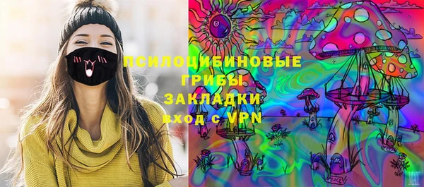 дмт Абаза