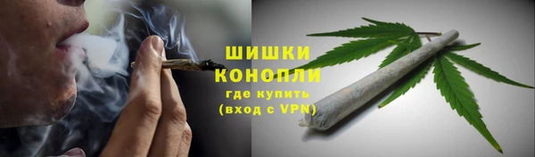 дмт Абаза