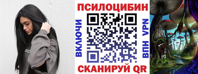 наркота  Абдулино  OMG как зайти  Псилоцибиновые грибы мухоморы 